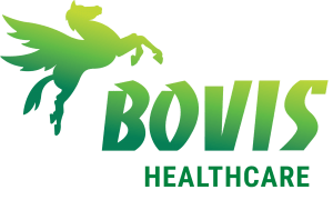 logo Bovis Healthcare